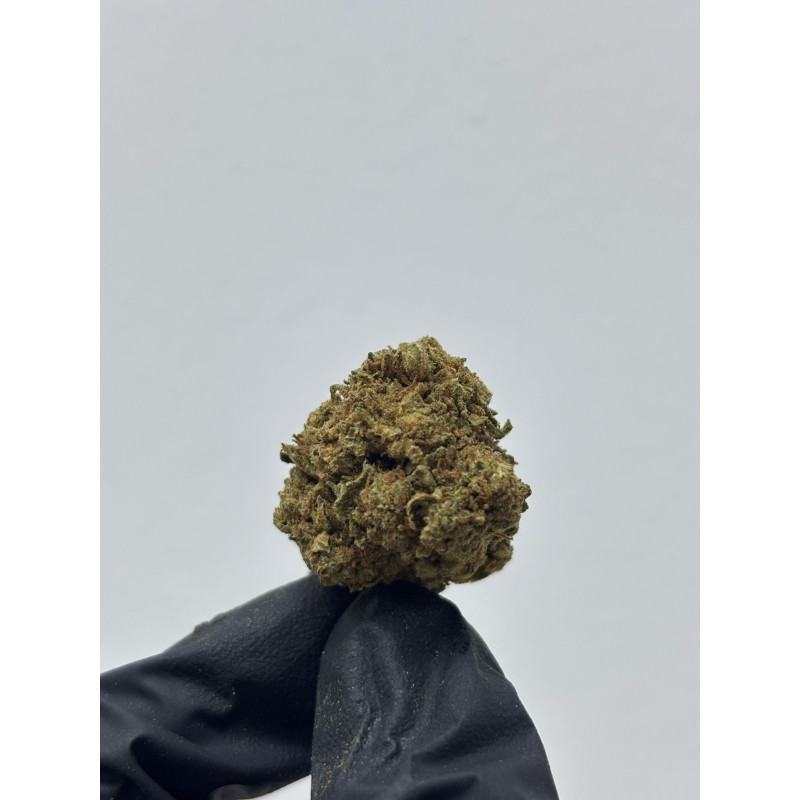 CBD Tequila | El Patrón Grow
