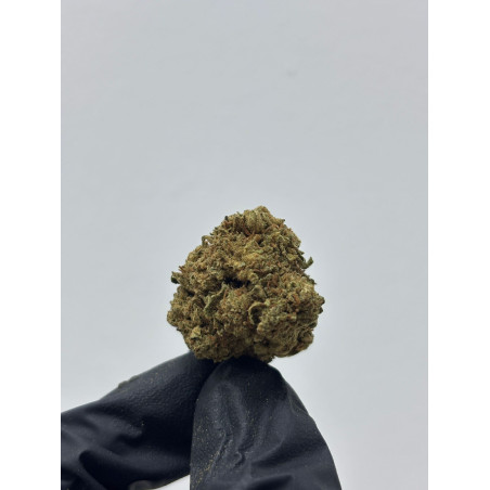 CBD Tequila | El Patrón Grow