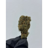 CBD Gorilla Hidropónico | El Patrón Grow