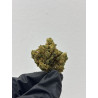 CBD Amnesia Haze Hidropónica | El Patrón Grow