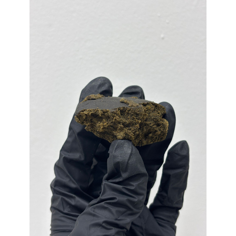 CBD Hash Iceolator | El Patrón Grow