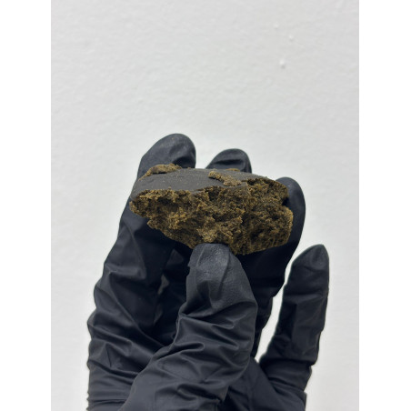 CBD Hash Iceolator | El Patrón Grow