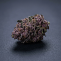 Purple Kush - flor CBD El Patrón Grow
